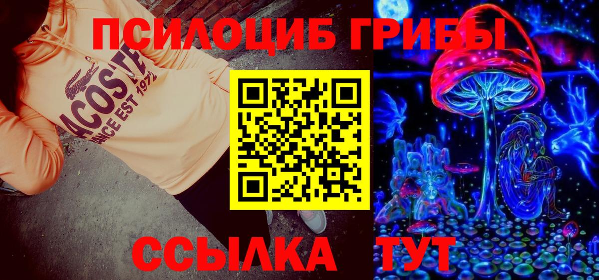 магазин продажи   Вход с VPN  Можайск  Галлюциногенные грибы MAGIC MUSHROOMS  Псилоцибиновые грибы GOLDEN TEACHER 